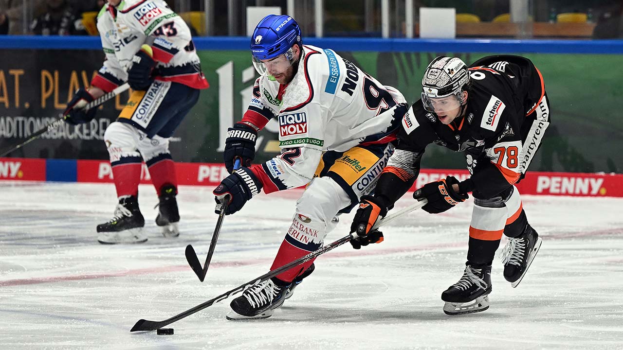 Der Meister kommt! Löwen empfangen die Eisbären