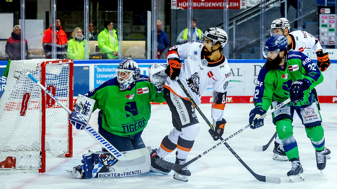 Das Duell der Raubkatzen geht in die nächste Runde - Löwen Frankfurt besuchen Straubing Tigers